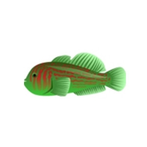 Green Clown Goby